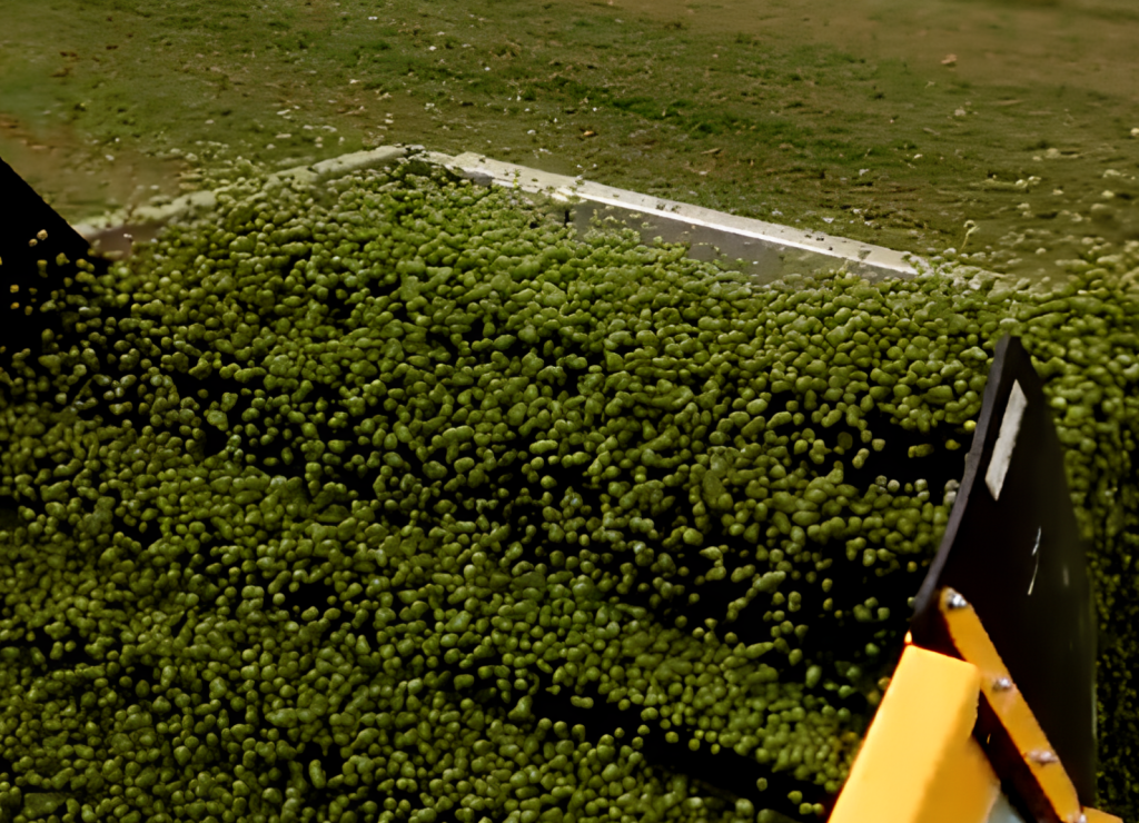 cinta-transportadora-banda-palas