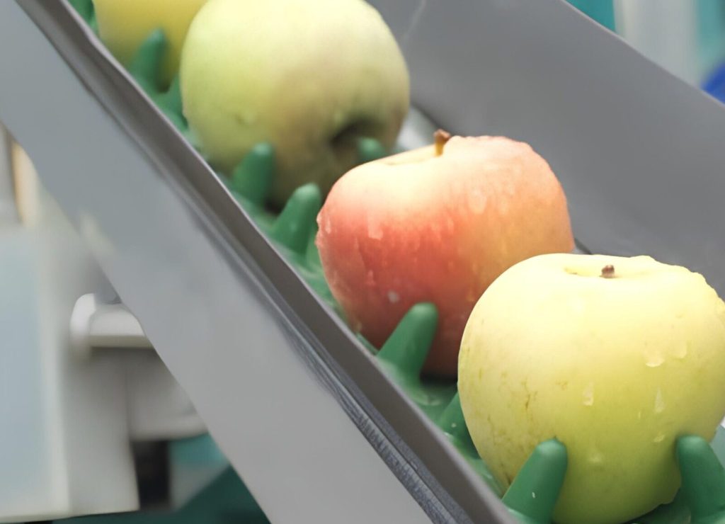 cinta-transportadora-electrica