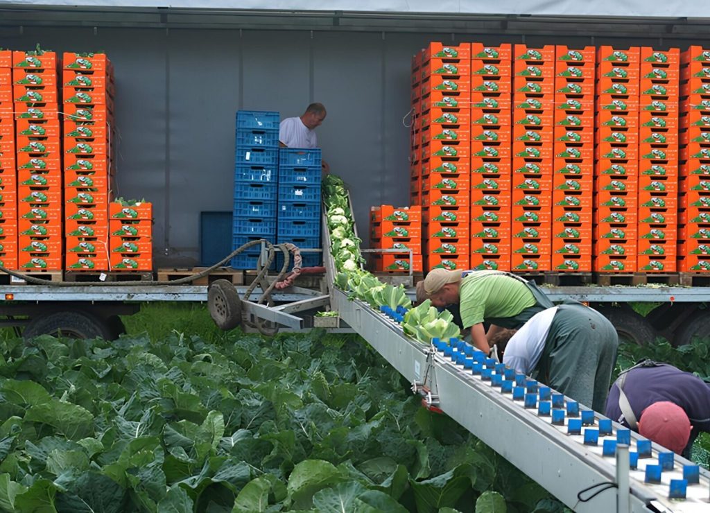 cinta-transportadora-transporte