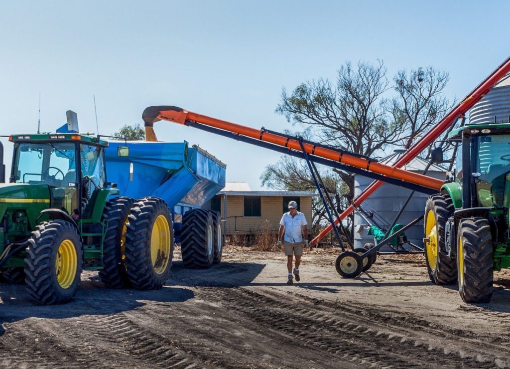 cinta-transportadora-estiercol