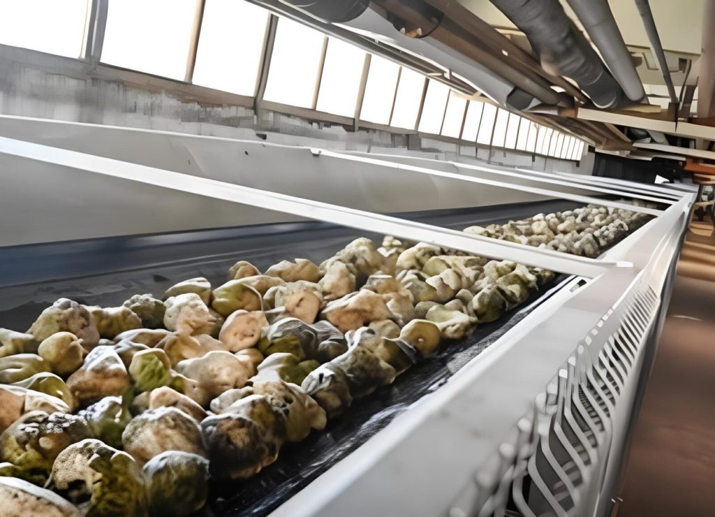 cinta-transportadora-agricultura