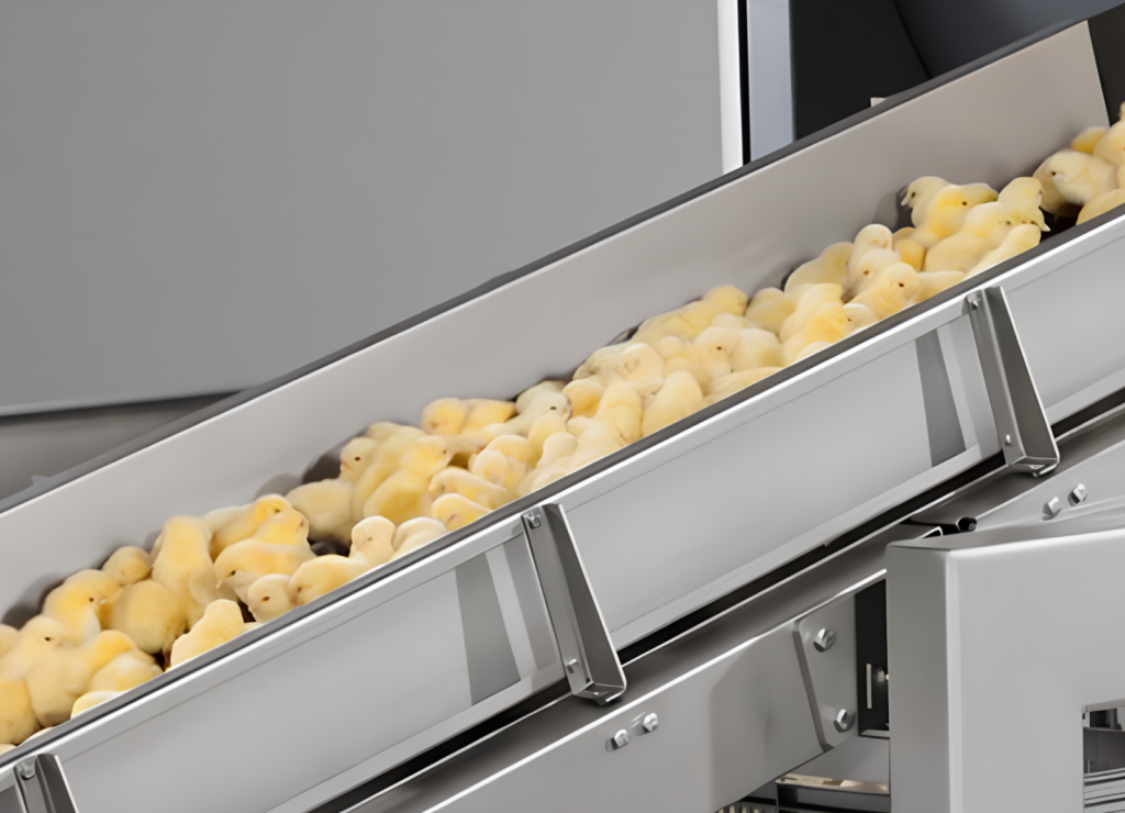 banda-transportadora-industria